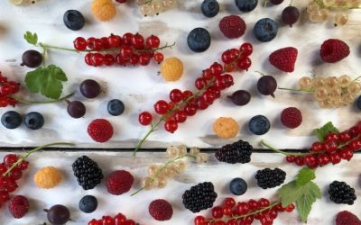 OWOCE – CHARAKTERYSYKA PRODUKTÓW