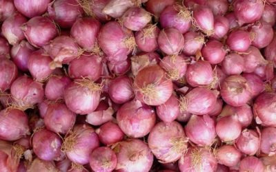 WŁAŚCIWOŚCI PRODUKTÓW SPOŻYWCZYCH