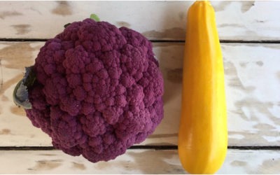 REFLEKSJE NA TEMAT ODŻYWIANIA