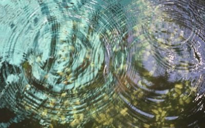 POJĘCIE ZDROWIA WG MEDYCYNY CHIŃSKIEJ