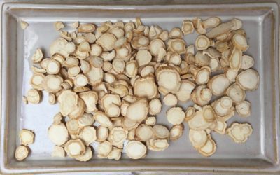 ŻEŃ-SZEŃ – NAJBARDZIEJ ZNANE CHIŃSKIE ZIOŁO