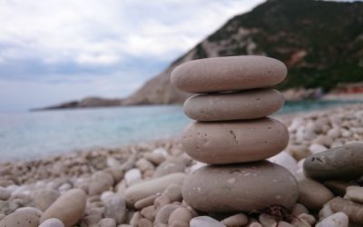 DIETETYKA WG MEDYCYNY CHIŃSKIEJ