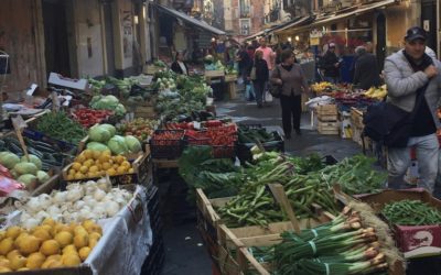 CHARAKTERYSTYKA PRODUKTÓW SPOŻYWCZYCH WG MEDYCYNY CHIŃSKIEJ