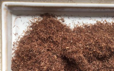 WSPOMAGAMY PĘCHERZ MOCZOWY – ZNAMIONA KUKURYDZY