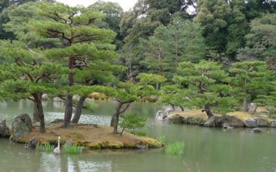 DIETA DLA DŁUGIEGO ŻYCIA CZ. 1