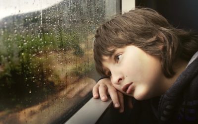 KONSTYTUCJA Z NIEDOBOREM QI