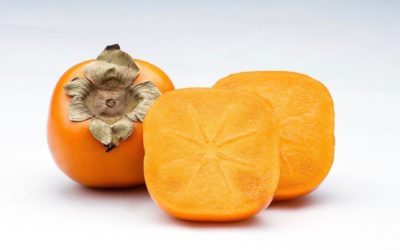 24 SEZONY SŁONECZNE, XVIII – SHUANG JIANG ATAK ZIMNA