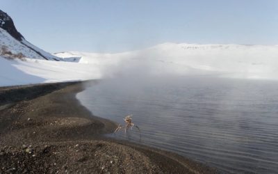 POJĘCIE WITALNOŚCI W MEDYCYNIE CHIŃSKIEJ CZ. 3