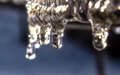 WSPOMAGAMY PĘCHERZ MOCZOWY DIETĄ