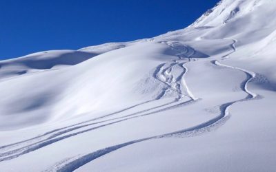 ODŻYWIANIE ZGODNE Z PORAMI ROKU – ZIMA