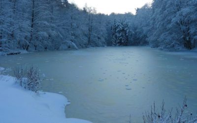 24 SEZONY SŁONECZNE, XXIV- DA HAN DUŻE ZIMNO