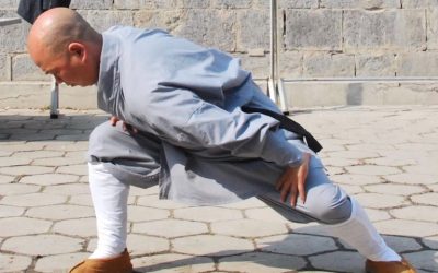 WPŁYW QIGONGU BA DUAN JIN (8 KAWAŁKÓW BROKATU) NA ZDROWIE