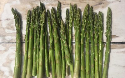 KOLOR POŻYWIENIA – ZIELONY