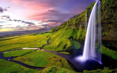 ZASTÓJ KRWI – ZALECENIA DIETETYCZNE