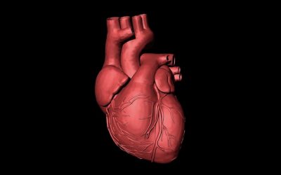 24 SEZONY SŁONECZNE, VII – LIXIA POCZĄTEK LATA