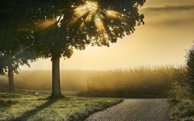 24 SEZONY SŁONECZNE, XIII – LI QIU POCZĄTEK JESIENI