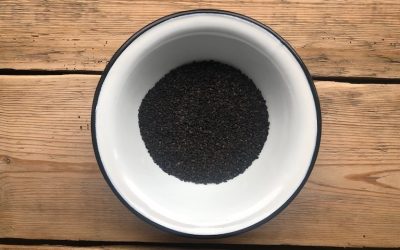 NASIONA CZARNEGO SEZAMU