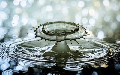 PRAGNIENIE, CZY POTRAFIMY WŁAŚCIWIE ODCZYTAĆ SYGNAŁY PŁYNĄCE Z ORGANIZMU?