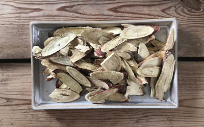 KORZEŃ LUKRECJI URALSKIEJ – GAN CAO