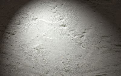 GIPS – SHI GAO – ZASKAKUJĄCE WŁAŚCIWOŚCI W MEDYCYNIE CHIŃSKIEJ