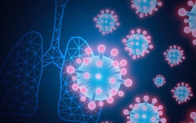 WEI QI – ŹRÓDŁO NASZEJ ODPORNOŚCI