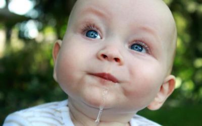 ŚLINA JEST JAK GRZYB REISHI DLA PRZEDŁUŻENIA ŻYCIA