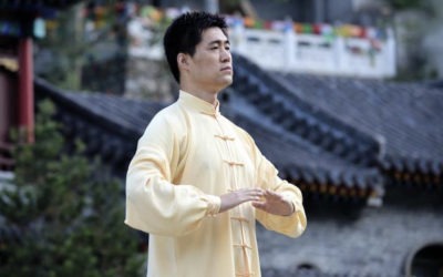 NAJSTARSZE ZAPISY O SYSTEMIE QIGONG LIU ZI JUE