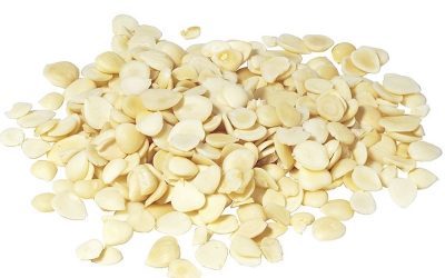 XING REN – WIĘCEJ NIŻ PESTKA MORELI